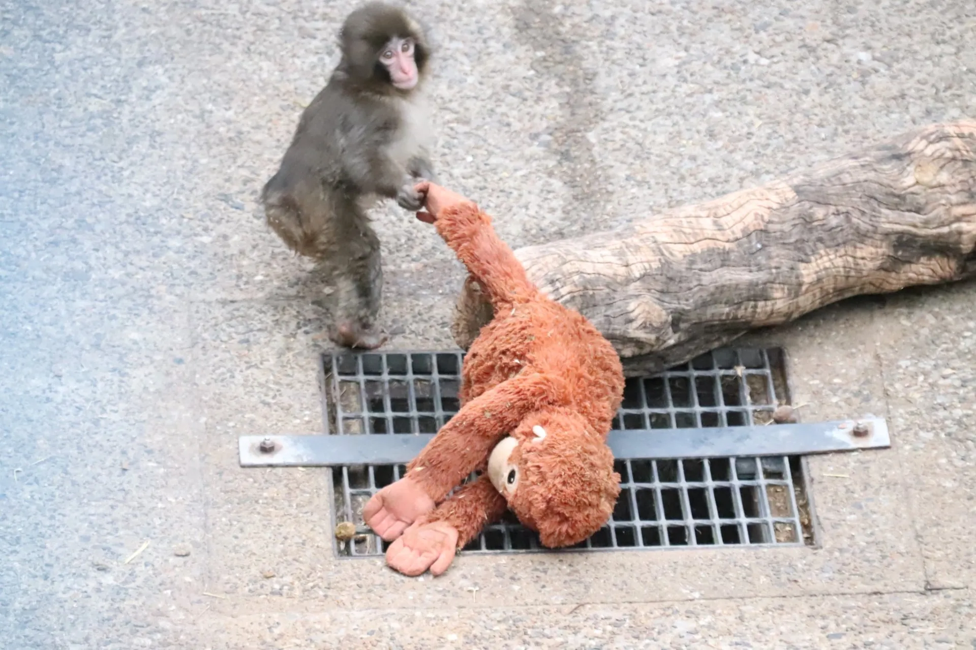 Morning at the sanctuary